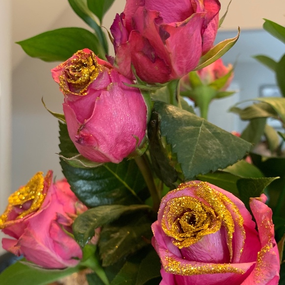 nonirose2011